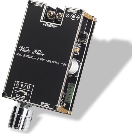 Mono-Verstärker – 100 W – Weitbereichseingangsspannung 9–24 V – Bluetooth, USB, AUX – TWS-Funktion – Für DIY-Audioprojekte (1/5)