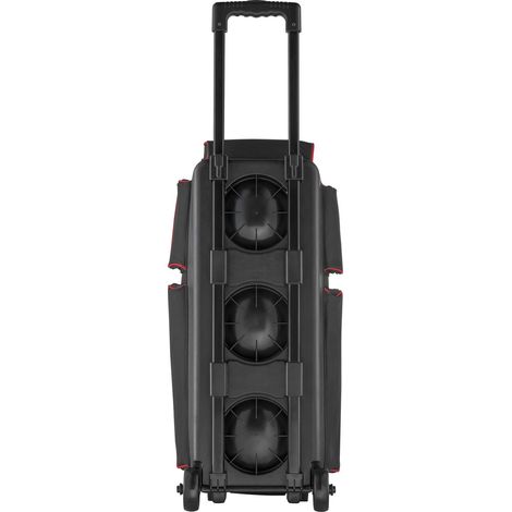 Bowlingtasche mit Doppelrollen für 3 Bälle, Schuhfach bis US-Größe 16, geräumiges Fach (1/5)