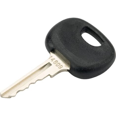 Llave de contacto FENDT X830240105010