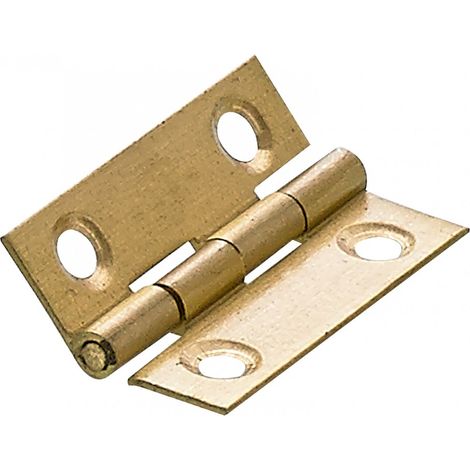 HETTICH Lot de 2 charnières universelles laiton pour meuble, L.38 x l.25 mm