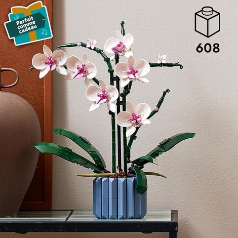 Botanicals L’Orchidée - Plantes ou Fleurs Artificielles d'Intérieur pour Décoration de Maison - Loisirs Créatifs pour Adulte - Idée Cadeau pour Femme ou Homme (1/4)