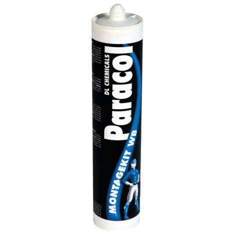 Dl Chemicals – Colle multi-usage pour polystyrène et béton – 310ml blanc – Résistance 45kg/cm² – Temps ouvert 13-18 min – 700003000 - WB 310 ML