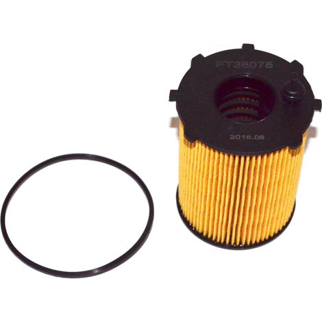 Ölfilter FT38075 schnell