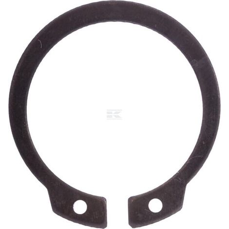 Arandela de retenci贸n AGCO X530016046000