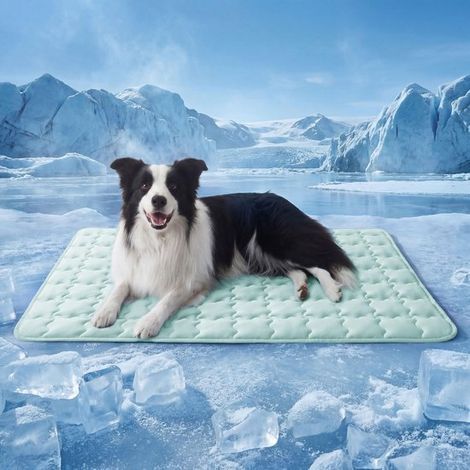 Tapis rafraîchissant pour chien Q-Max 0,5 - Tapis rafraîchissant pour chien et chat - Lavable et antidérapant - Coussin d'été respirant - Vert - 61 x 46 cm (Petit) (1/5)