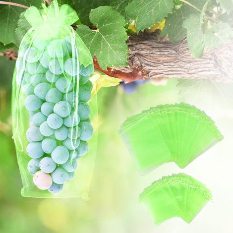 Bolsas protectoras para uvas, 60 unidades, 20 x 30 cm y 17 x 23 cm, bolsas de protección para plantas, bolsas de organza con cordón para frutas (verde). (1/5)