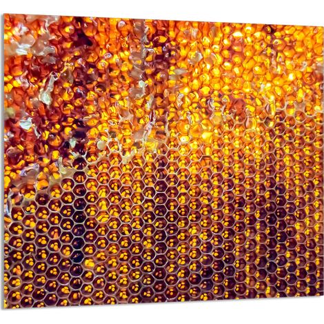 Panneau de verre pour la cuisine 65x60 Miel (1/5)