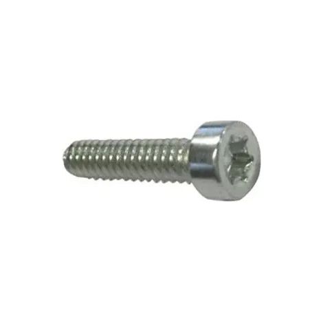 Tornillo Autoperforante compatible con D5X24 Ref 504552