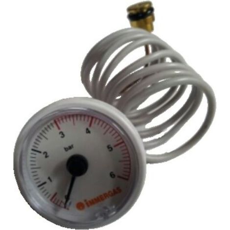 Manometro Immergas eolo Eco 24