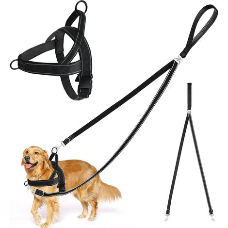 Harnais et Laisse pour Chien, Réglable avec Laisse Anti-Traction, Réfléchissant, pour Moyen et Grand Chien, Noir, Nylon (1/5)