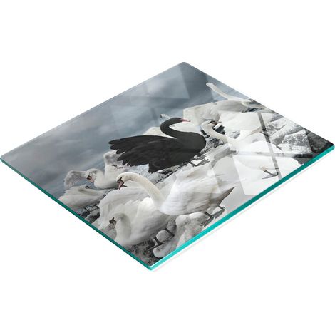 Tabla de servir de cristal para cocina con gráfico de cisne negro, 60x52 cm. (1/5)