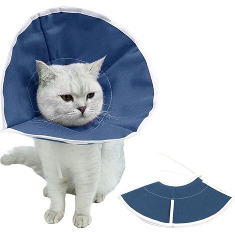Collier de convalescence pour chat, conique réglable et doux, protection des plaies, récupération chirurgicale, pour animal domestique, respirant, bleu (1/5)