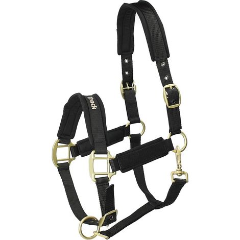 1 Licol Poney, Mousse SBR, Réglable, Boucles Dorées, Équitation