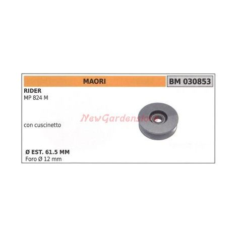 Rasenmäher-Riemenscheibe für Reiter MP 824M MAORI 030853