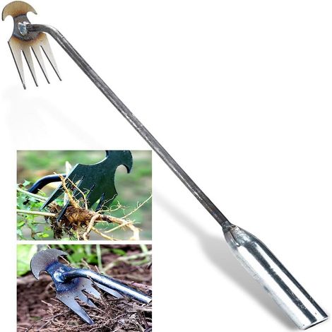 Désherbeur Manuel à 4 Dents en Acier Forgé - Outil de Jardin Solide pour Arracher les Mauvaises Herbes Profondes - Longueur 30 cm (1/3)