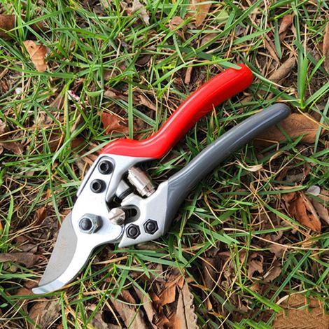 Handschere aus Stahl, eine Gartenschere, die die Arbeit erleichtert