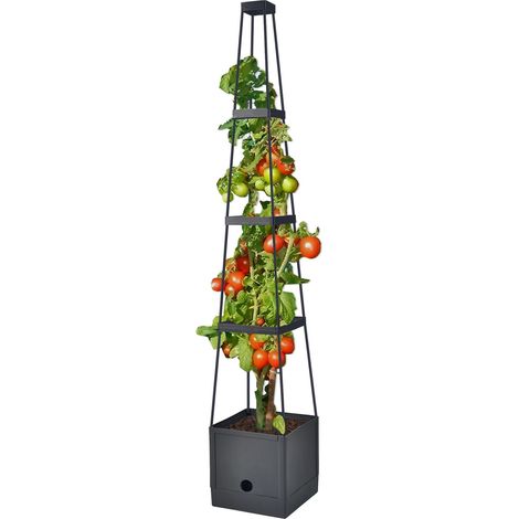 Tomaten Rankhilfe im Pflanztopf - 150 cm - Pflanzturm Anwuchshilfe Bewässerungsboden