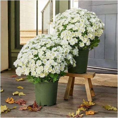 Chrysanthèmes artificiels (1 lot de 5 bouquets), fleurs de chrysanthèmes réalistes effet coucher de soleil pour l'extérieur -