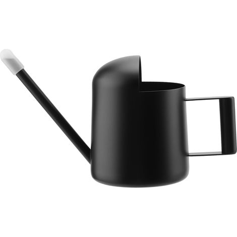 300ML Stainless Steel Indoor Plant Watering Can with Long Spout - Mini Watering Can for Succulent and Bonsai Plants (1/5)