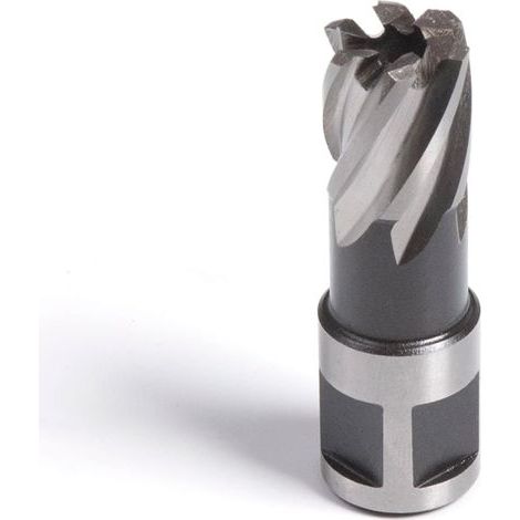 12 x 25 mm Core Drill Bit Evolution - Cuts Faster and Has a Longer Service Life - Compatible with Almost All Magnetic Drills (1/5)