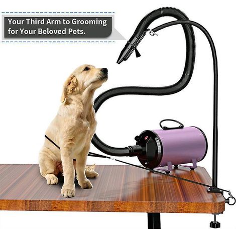 Support de sèche-cheveux pour poils d'animaux à double usage, télescopique, cadre de fixation multi-usage (1/4)