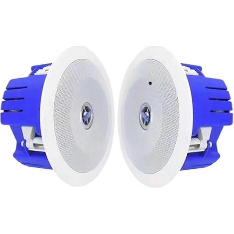 Bluetooth One-à-One Ceiling haut-parleur Broadcast Background musique Office haut-Fidelity grand haut-parleur 2x20w (1/5)