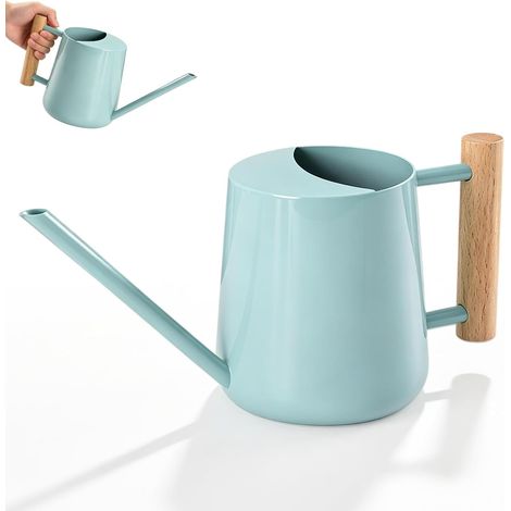 Arrosoir en Acier Inoxydable, 1L Arrosoir Plante Interieur, Petit Arrosoir pour Plantes D'intérieur avec Poignée, Long Bec, pour Plantes Extérieures, Plantes Succulentes, Jardins d'herbes, Fleurs (1/5)