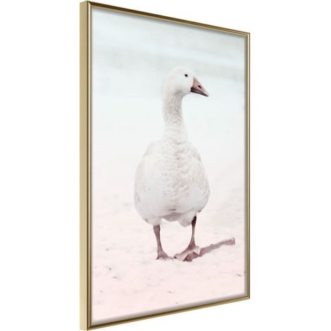 Affiche Murale Encadrée "Walking Goose" 30 x 42 cm Or