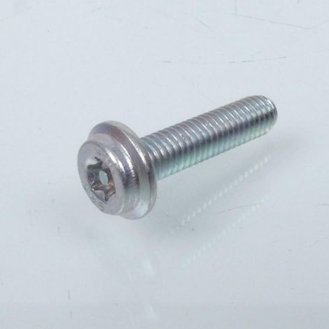Vis RESISTORX inviolable M6 Pas 1.00 L 25mm pour deux roues (1/3)