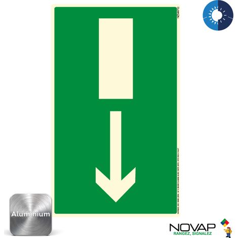 Panneau photoluminescent Sortie de secours en bas - Alu 200x330mm - 4013022