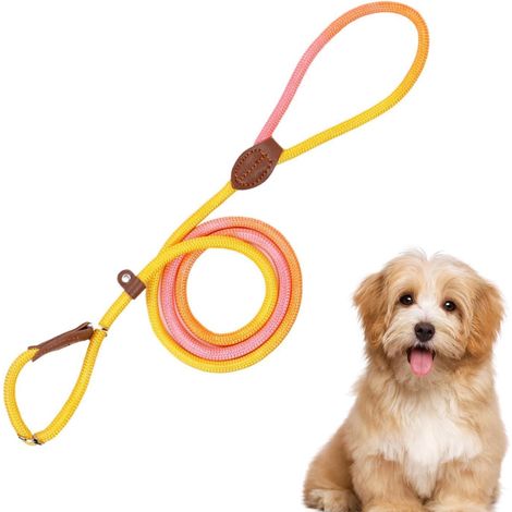 Laisse en nylon pour chien - Réglable anti-traction - Pour la course à pied, la marche, la plage, la randonnée, le camping - Accessoire de dressage compact - Équipement fiable pour la marche, la (1/5)