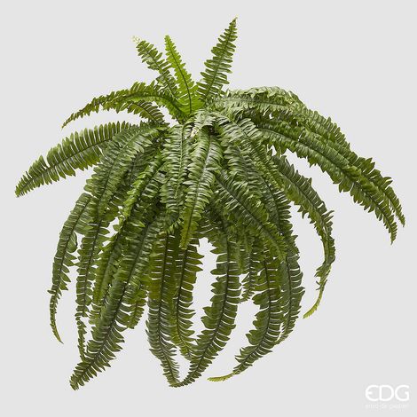 EDG Enzo De Gasperi Felce Bell Giga D 100 Cm 40 Fg Pianta Artificiale Verde (1/2)