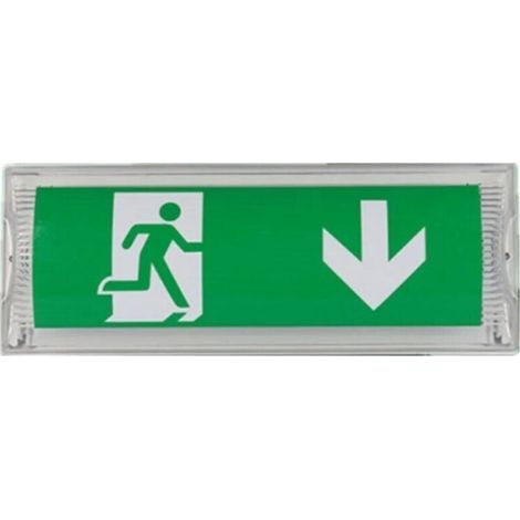 LED-Notleuchte mit Akku für bis zu 3 Stunden Laufzeit, Schutzart: IP 65, Notausgangs-/Rettungsschild, Leuchtschild, hell (1/5)