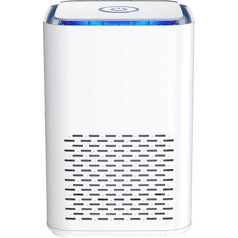 Purificateur d'air domestique, filtre HEPA véritable pour chambre et bureau, élimine les odeurs d'allergies, d'animaux domestiques, de fumée, de poussière et de moisissures, veilleuse silencieuse (1/4)