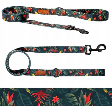 Correa recta estándar para perros grandes  20 kg 180 cm Ukory con estampado VERDE (1/5)