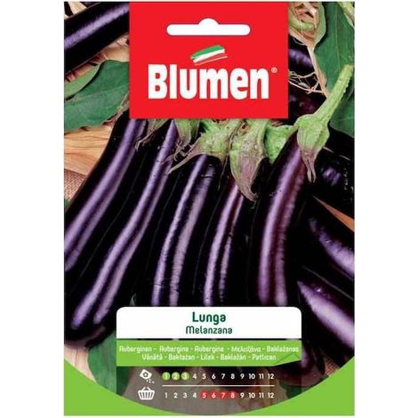 Blumen. Semi di Melanzana Lunga (1/2)