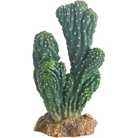 Hobby 37019 - Cactus Victoria 1, altezza 19 cm, decorazione artificiale in terrario, colore: Verde (1/4)