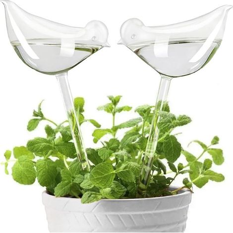 Une boule d'arrosage transparente et écologique permet d'observer facilement le niveau d'eau, ce qui en fait un choix idéal pour les orchidées et les herbes aromatiques (1/5)
