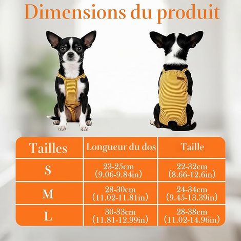 Culottes pour Chiennes, Pantalon pour Incontinence et Hygiène (M) (1/4)