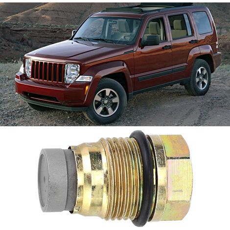 Kraftstoffdruckregelventil 110010015, kompatibel mit CHRYSLER, FORD, HONDA - Kraftstoffüberdruckbegrenzer (1/5)