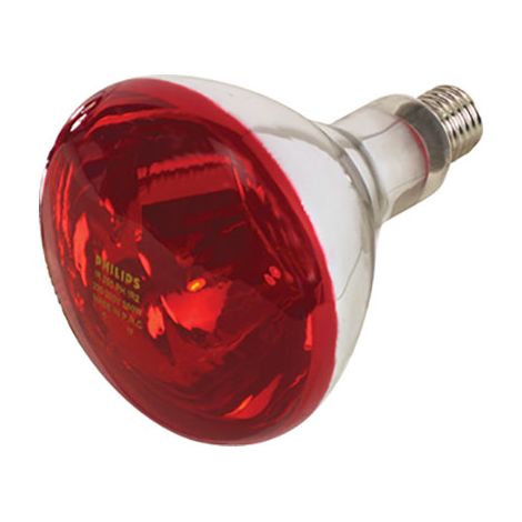 LAMPADA RIFLETTORE PULCINI  INFRAROSSI VOLT 230 WATT 150 E27 MM 125