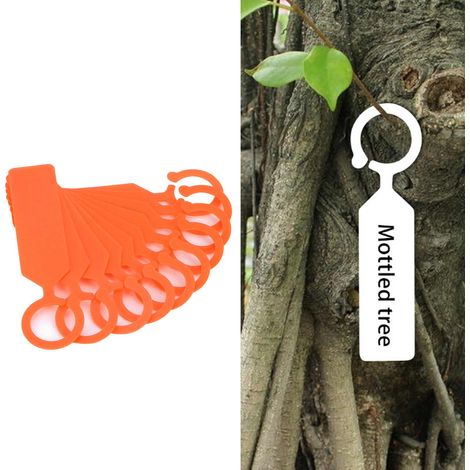 Étiquettes de Jardinage 100 Pièces pour Plantes et Fleurs, Marqueurs de Jardin 11x2.4cm Orange, Accessoires de Jardin (1/5)