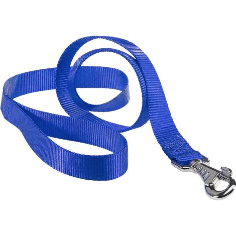 GUINZAGLIO PER CANE 'CLUB G' cm 120 x mm 25 - blu- 2 pezzi - FERPLAST