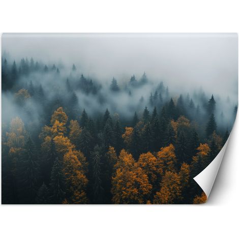 Fototapete Wald in Nebel-Landschaft 350x245 cm (1/5)