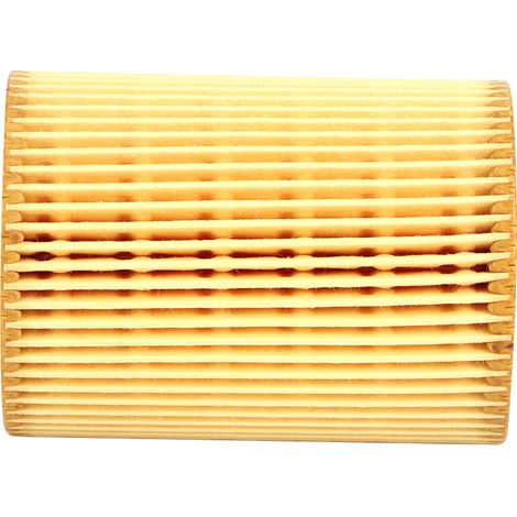 Motorölfilter A6421800009 passend für Mercedes-Benz R251 W211 W212 W164 W166 3.0L Motor (1/5)