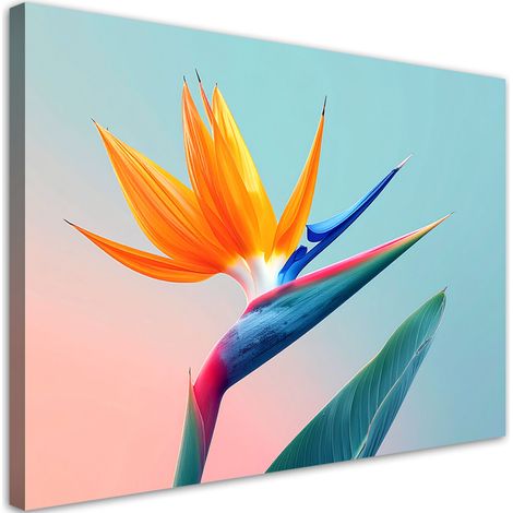 Stampe su Tela, Fiore di Strelitzia dai colori vivaci - 30x20 (1/2)