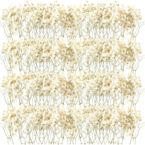 Bouquet Gypsophile Séché - Naturelles Fleur Séchees Décoration Pack de 50 - Idéal pour Vase, Mariage, Table, Décoration Maison, Bureau, Fête, Jardin (1/5)