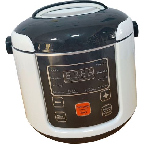 GARRYFIZH Mini cuiseur à riz 2L, petit cuiseur électrique de voyage, fonction de maintien au chaud, adapté à 2 à 4 personnes, 24V