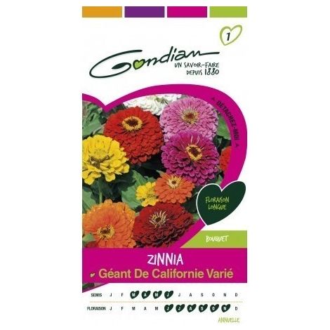 Gondian - Zinnia Géant de Californie Varié