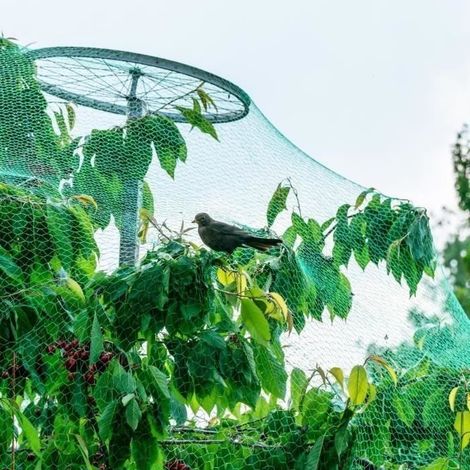 LEU Anti-oiseaux Filet de volière Maille 4x10M Protection pour Plante Légume Fruit Étang Jardin